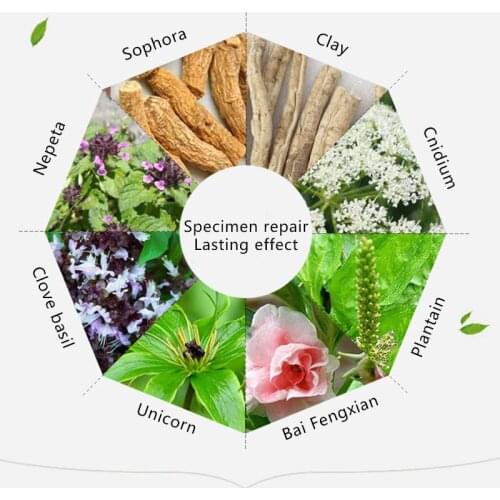 2 Pcs Nails Repair Liquid Set Plant Extract Antibacterial Onychomycosis Treatment Nail Care WH998