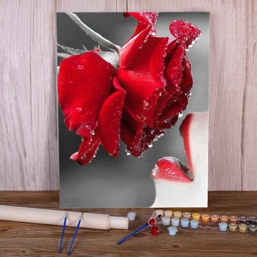 Red Umbrella Rose Flower DIY Painting By Numbers Package Acrylic Paints 50*70 Canvas Painting Decorative Drawing