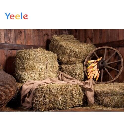 Autumn Farm Backdrop Countryside Harvest Hay Block Baby Shower Children Birthday Background Photo studio Photocall Photophone