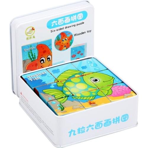 Iron box containing 9 pieces of six-sided painting children 3D Puzzle wooden cartoon puzzles wood toys for children and girls