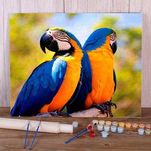 Parrot Bird Animal Coloring By Numbers Painting Package Oil Paints 40*50 Painting On Canvas Wall Paintings Crafts Handiwork