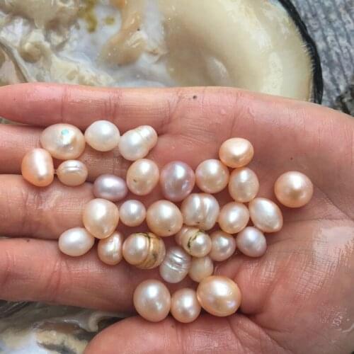 2018 Party Fun Freshwater Pearls Shells Vacuum Packaging Real Natural Pearl Oysters Big Monster Oysters Gift BM006