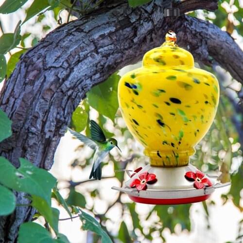 2020 Outdoor Pet Bird Feeder Glass Hummingbird Feeder Bird Water Dispenser For Outdoors Patio Backyard