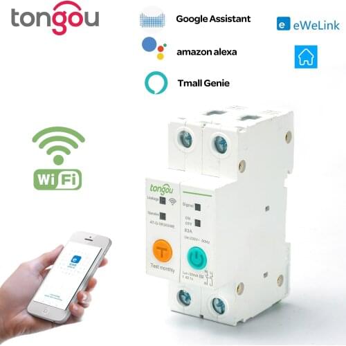 2P 63A DIN Rail WIFI Circuit Breaker Smart Switch Remote Control by Ewelink APP for Smart Home 63A with Leakage Protection