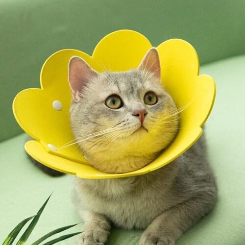 Cute Sunflower Cat Elizabeth Collar Anti Bite Protect Bath Photo Large Medium Cat Collar Light Soft Pet Small Dog