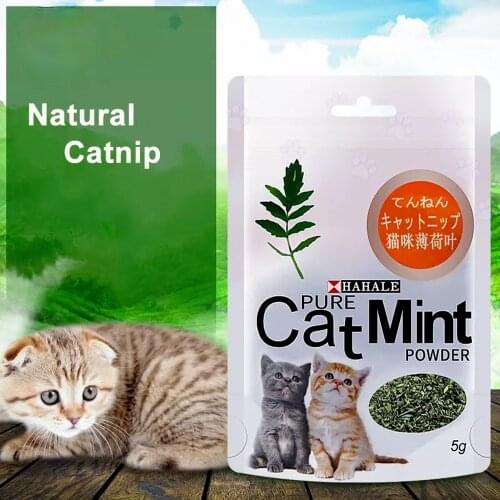 100% Natural Catnip Cat Toys Menthol Flavor Clean Teeth Healthy Care Funny Cat Catmint Toys Organic Premium Catnip Cattle Grass