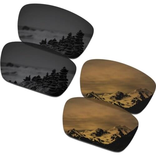 SmartVLT 2 Pairs Polarized Sunglasses Replacement Lenses for Oakley Fuel Cell Stealth Black and Bronze Gold