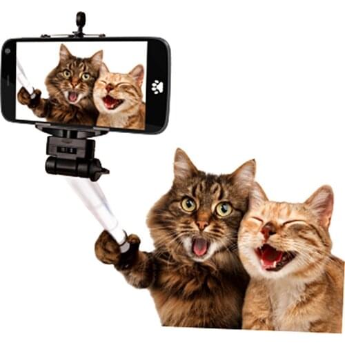 Clothing Patches Selfie Cats Pattern Iron On Patches Thermal Transfer Printing Fashion Stickers for Clothes Style Decoration