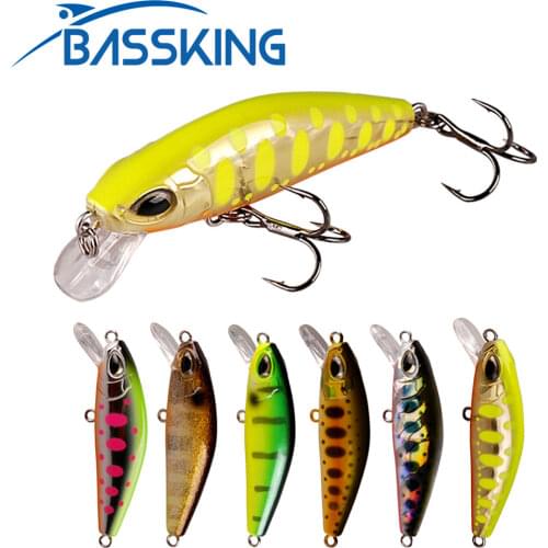 BASSKING Mini Minnow Fishing Lure 5cm 6.1g ABS Plastic Saltwater Artificial Bait with France VMC Hook Quality Professional Lure