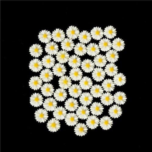 DIY White daisy flower Resin flatback cabochon DIY jewelry 50pcs decoration