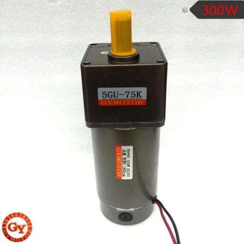 300W permanent magnet motor DC12V 24V 48V 220V miniature gear reducer motor ZYT90S