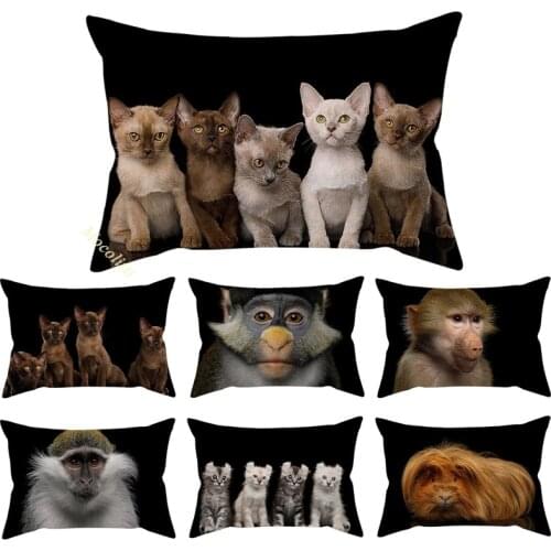 Black Animals Cute Kittens Pattern Waist Pillow Case Baboon Guinea Pig Printing Home Decoration Sofa Chair Cushion Cover 30x50cm