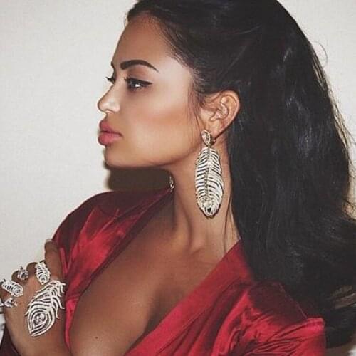 2020 Feather Crystal Baroque Earrings For Women Big Drop Earring Oorbellen Long Earrings Female Jewelry Pendientes Aretes Brinco