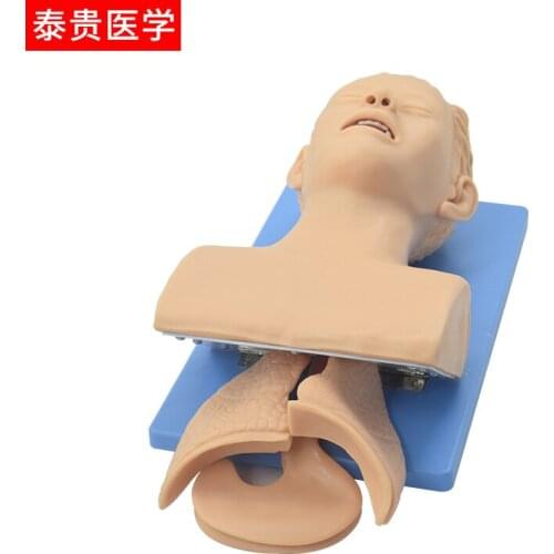 Electronic Tracheal Intubation Simulator Model, Adult Oral and Nasal Intubation Trainer