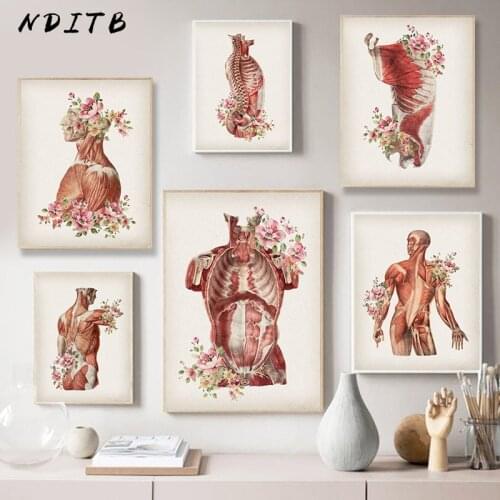 Human Body Muscle Structure Wall Art Painting Retro Anatomy Medical Canvas Poster Print Education Picture Study Room Decoration
