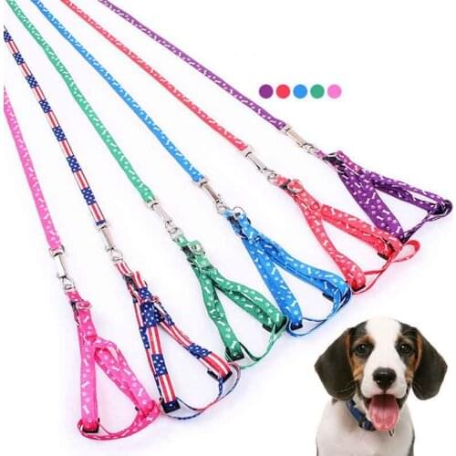 Cat Harness And Leash Set Cat Lead Leash Kitten Accessories Adjustable Chest Harness Cats Outdoor Walking Chihuahua Terier