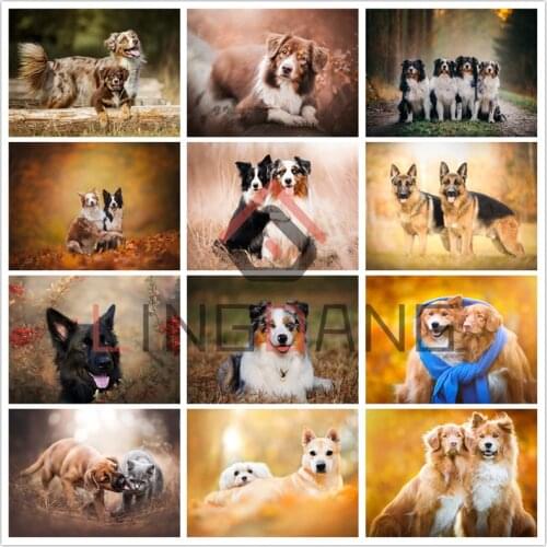 Diamond Embroidery Animal Dog Border Collie Afghan Hound Diamond Painting Full Square Round Drill Cross Stitch Mosaic Decor Gift