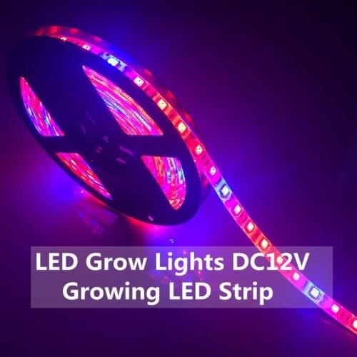 Ledbluebell Phytolamps For Plants