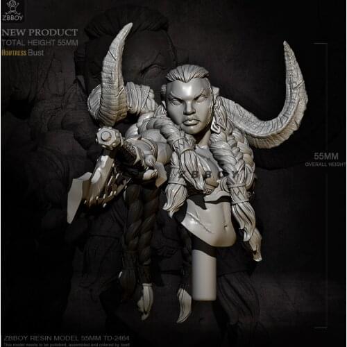 55MM Resin Bust Figure Model Kits Toys Self-assembled TD-2464