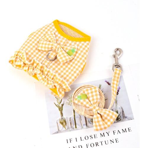 Hippypaw Leashes For Dogs
