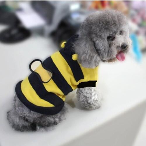 HOBBAGGO Clothes For Cats