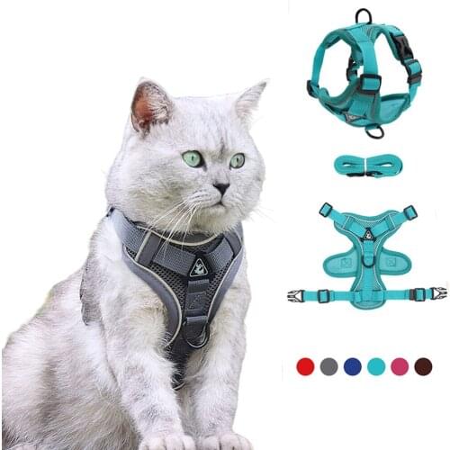 Reflective Cat Harness Leash Set Breathable Puppy Harness Running Rope Cats Vest Harness For Small Cat Pet Walking Lead Leash