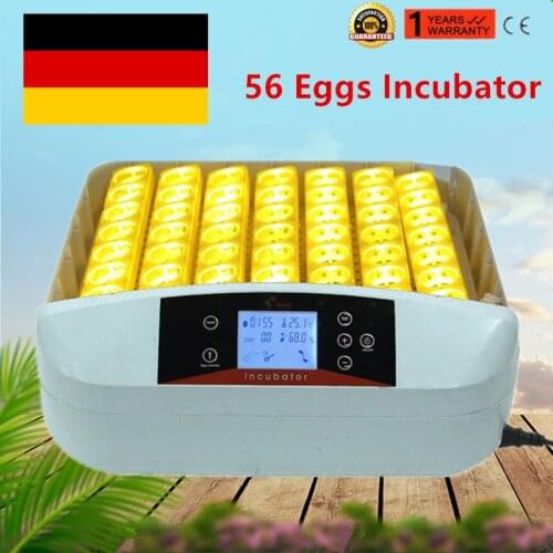 Automatic 110V/220V 56 Egg Incubator Poultry Hatchery Chicken Egg Incubator Quail Brooder Factory Price
