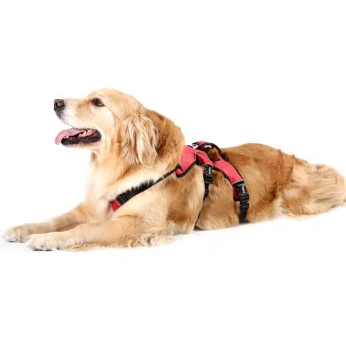 2020 New Traction Rope Dog Breast Straps Small and Medium-sized Dog Accessories Camouflage Sports Nylon Dog Collar