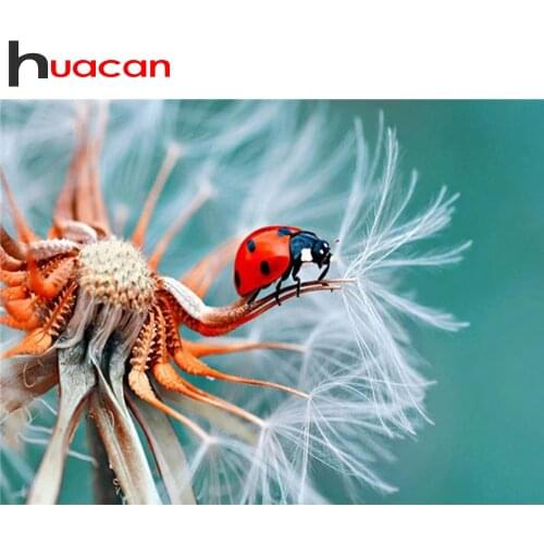 Huacan 5D DIY Diamond Painting Ladybug Diamond Embroidery Dandelion Pictures Of Rhinestones Mosaic Craft Kit