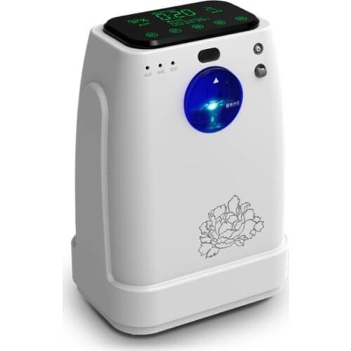 Oxygen Concentrator 110V Physical Therapy Making Machine