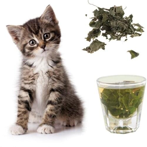 Natural Silvervine Leaves Cat Catnip Dried Polygonum Matatabi Toys Flavor Snacks Silvervine Leaves
