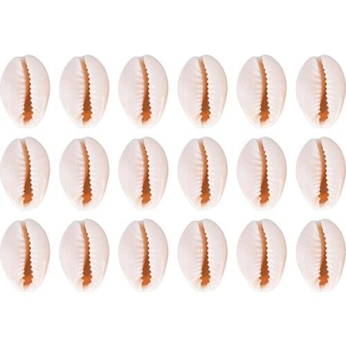 50pcs/set Natural Cowrie Shell Charms Pendant For DIY Earrings Bracelet Necklace Jewelry Making Beach Jewelry Accessories