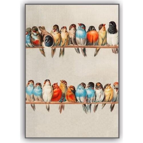 Vintage Bird Poster Retro Wall Art Colorful Bird Illustration Antique Animal Picture Canvas Print Painting Home Decoration