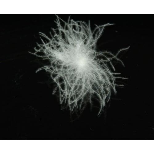 Free shipping / 95% Bulk white duck down & down coat filler / paypal accepted 1 lb/piece wholesale