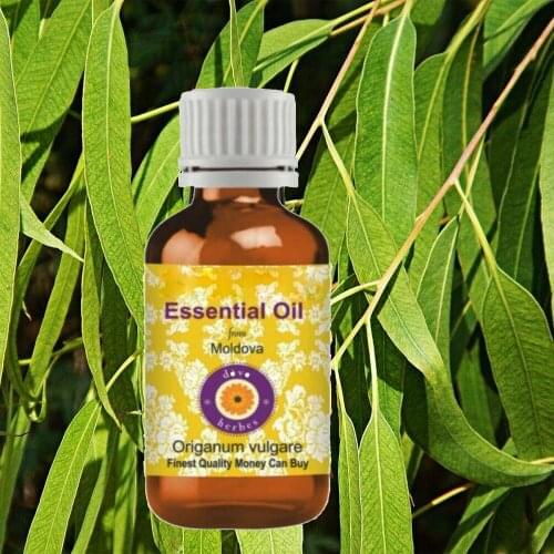 BRADYEXPRESS Aromatherapy Products