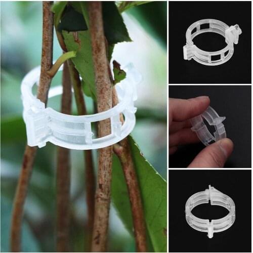 5mm Plastic Plant Support Clips clamps Reusable For Plants Hanging Vine Garden Greenhouse Vegetables Tomatoes Clips
