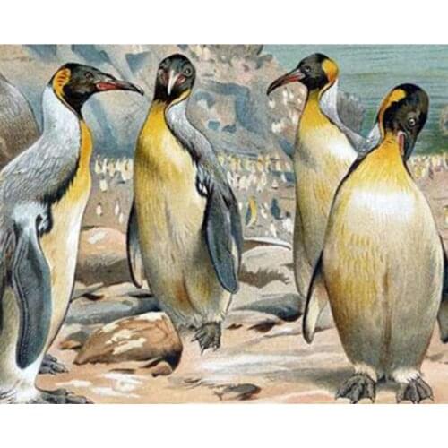 5D DIY diamond painting cross stitch circular inlaid Icelandic penguin embroidery rhinestone painting diamond stitch