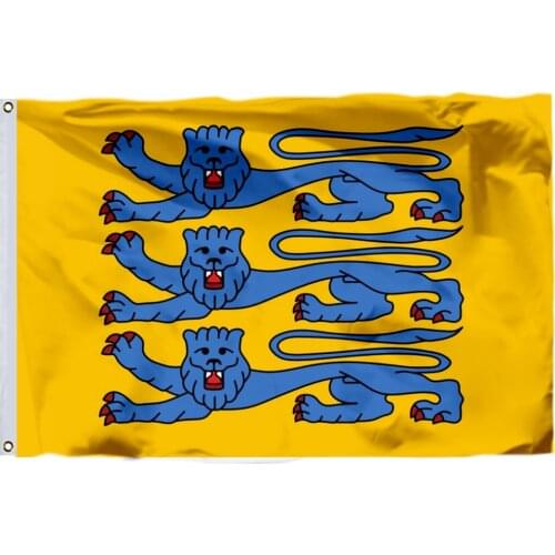 Estonia Kvyldlipp Flag OUTDOOR INDOOR BANNER 90x150cm National Parade/Festival/3x5ft