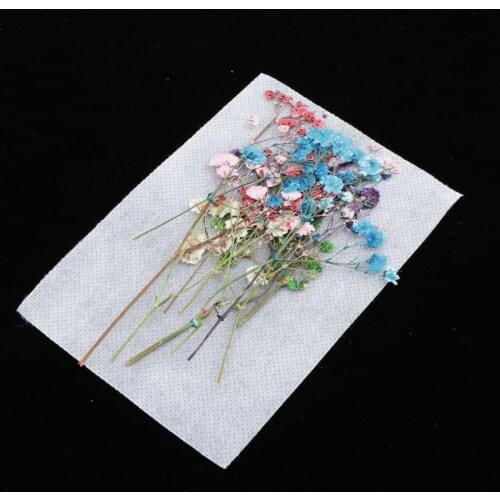 12pcs/bag Real Babysbreath Pressed Leaves Natural Dried Flowers for Scrapbooking Card, Art Crafts, Epoxy Resin Jewelry Craft