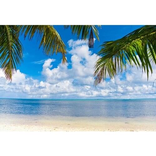 Hawaiian Style Photography Background Blue Sky White Clouds Clear Water White Sand Palm Tree Backdrop For Youtube Videos Props