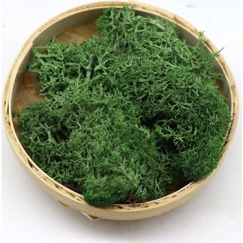 Artificial Plant Eternal Life Moss Garden Home Wedding Christmas Decoration Wall DIY Flower Micro Landscape Accessories