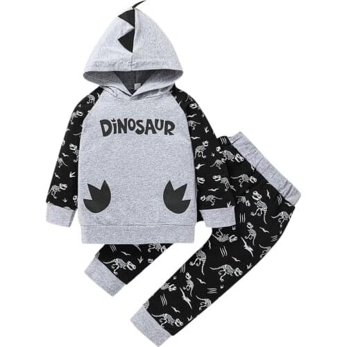 Toddler Baby Boys Clothes Dinosaur Hooded Sweatshirt + Pants Set Winter Kids Outfits Childrens Clothing 1 2 3 4 5 6 Years L3