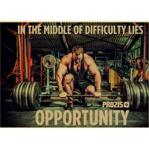 More style Arnold Schwarzenegger Bodybuilding Fitness GYM Workout Art Film Print Silk Poster Home Wall Decor 24x36inch