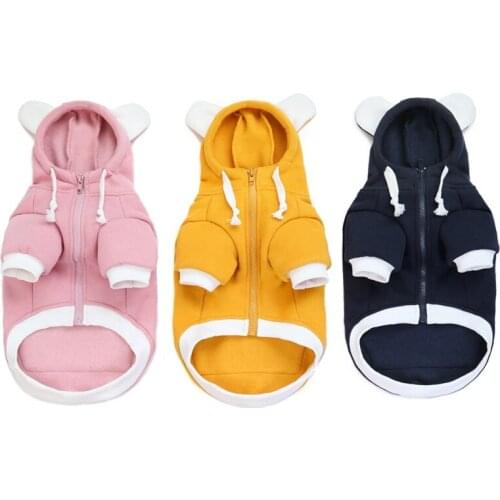 Pet Autumn Winter Bear Fleece Sweater Small Medium Sized Dogs Hooded Two Legged Clothes Warm Cotton Padded Clothes
