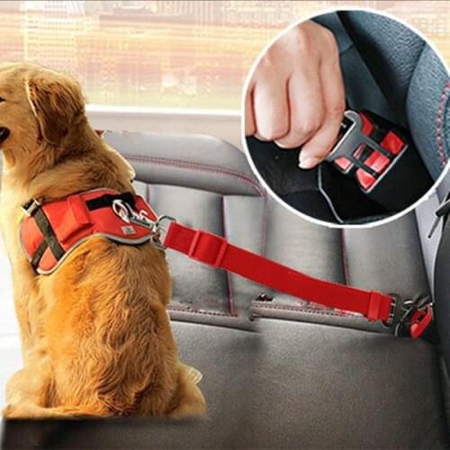 DCPET Dog Harness