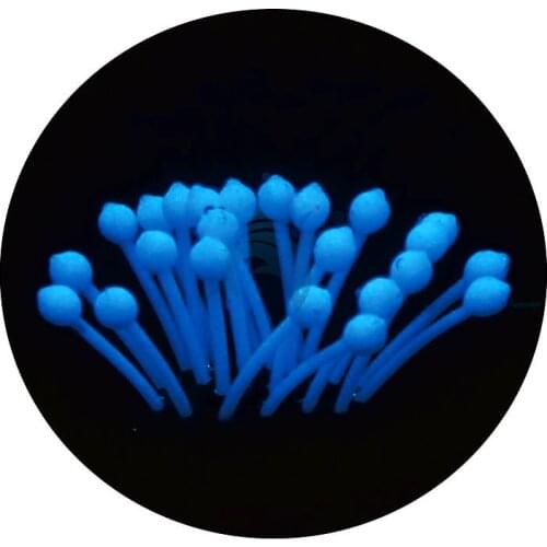 Aquarium Decoration Aquarium Landscaping Womens Clothing Accessories Plastic Luminous Bubble Coral