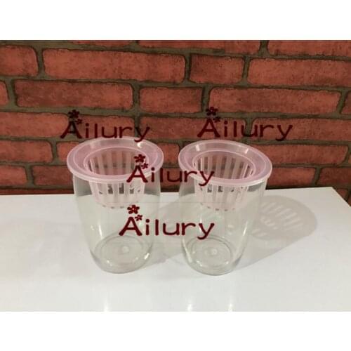 20set,Hyacinth bulbs special flower pots green radish transparent ABS material,creative decoration,Hydroponics