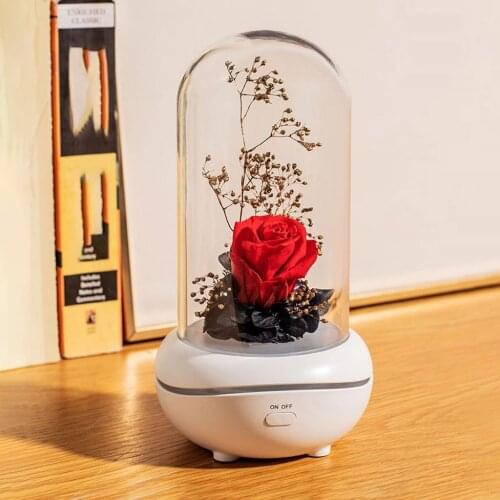 Rose Lamp Eternal Rose Flower Lamp Colorful Ambience Light USB Gifts