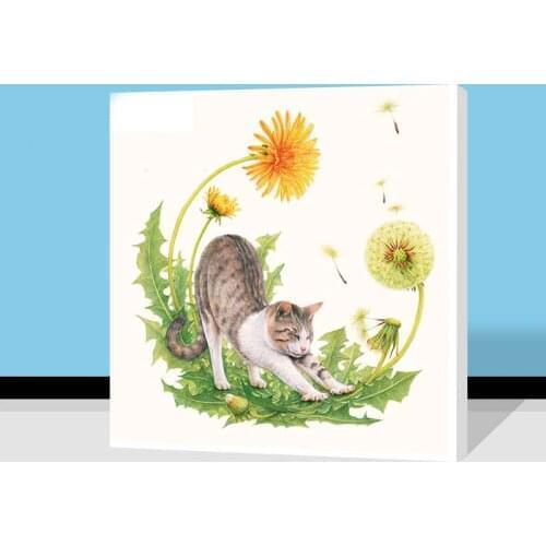 Picture by numbers Cartoon cute pet diy digital painting cat modular painting bird diy oil painting home decor for kids