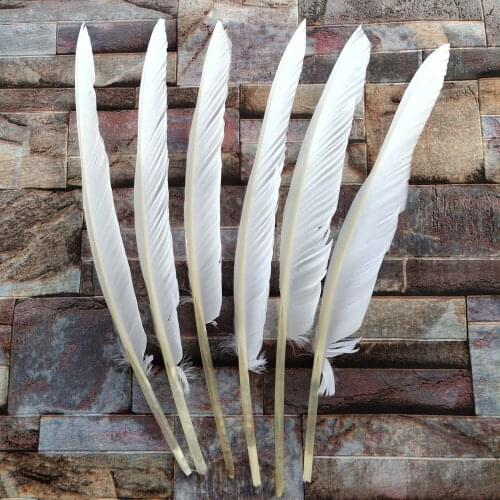 Beautiful! Hot Sale 10pcs/lot White feathers 30-35cm/12-14inch Natural Turkey feathers wedding party decoration craft feathers